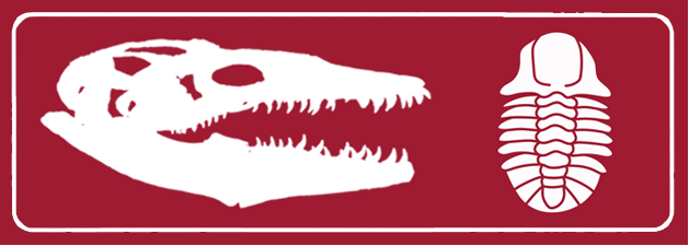 Paleontology placeholder image
